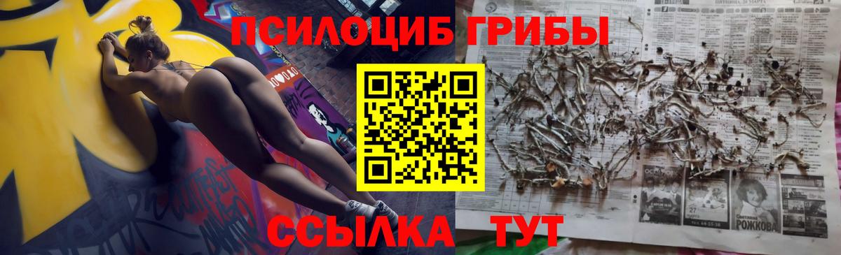 где можно купить наркотик  Псилоцибиновые грибы Magic Shrooms  Вход с VPN  Котельники 