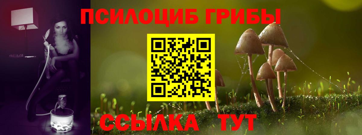 Галлюциногенные грибы Cubensis Котельники